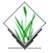 GRASS GIS GRASS GIS